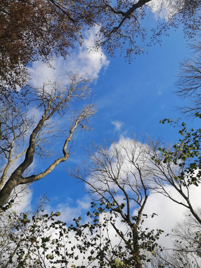 Blå himmel på en efterårs vandretur